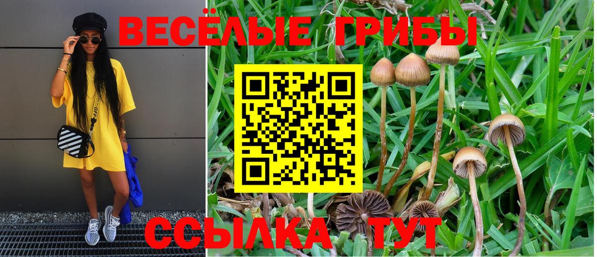 как найти закладки  Вход с VPN  Жигулёвск  Псилоцибиновые грибы MAGIC MUSHROOMS 